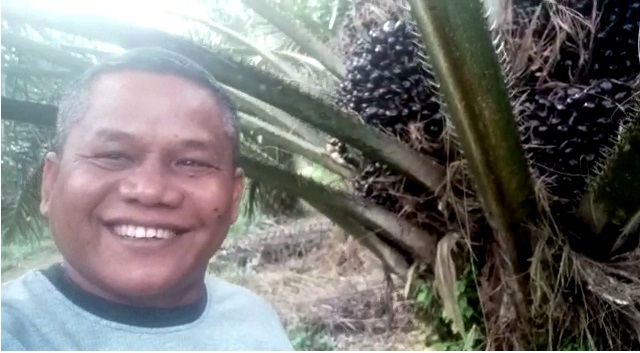 Jadi Rebutan, Sawit Mahal