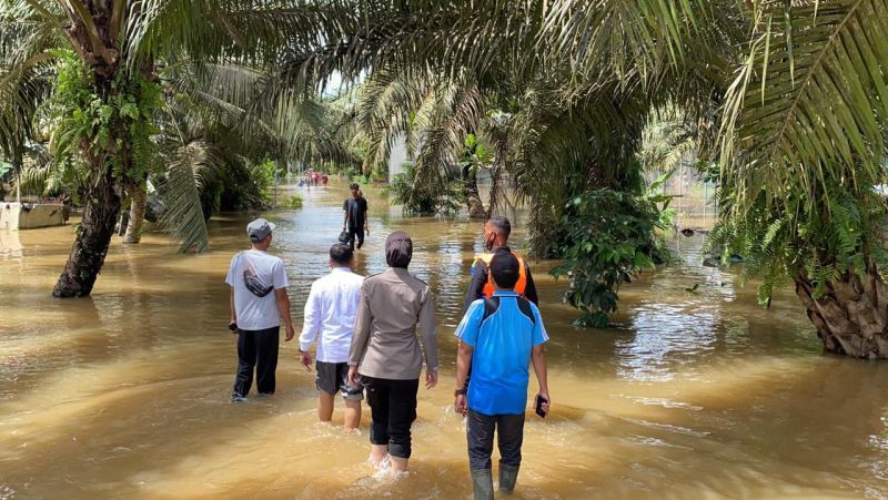 Melangsir Sawit di Tengah Genangan Banjir