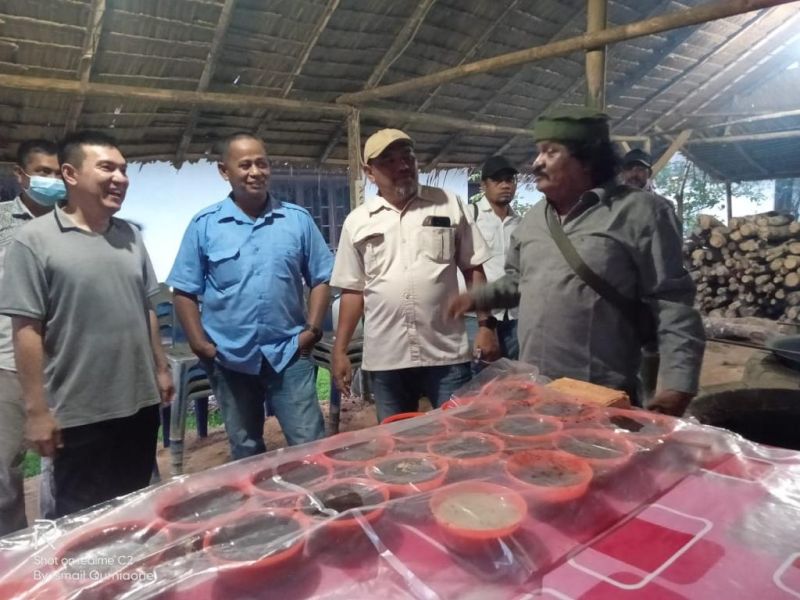 Petani ini Mendulang Uang dari Sawit Tumbang