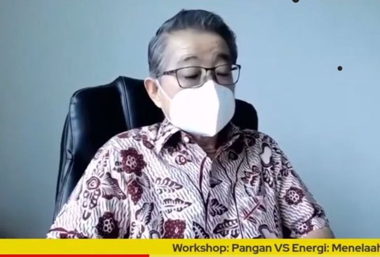 Lahan Sawit Indonesia Tak Perlu Diperluas Untuk Implementasi B50