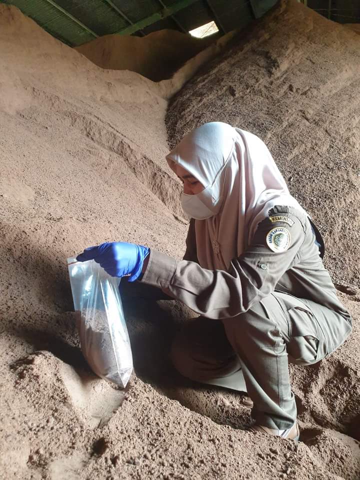 Vietnam Sedot Ribuan Ton Bungkil Sawit dari Pedalaman Kalimantan