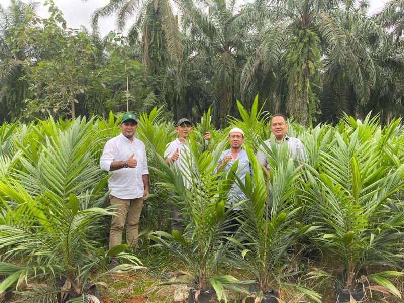 Dibantu SAMADE Aceh, Ratusan Petani Ikut PSR Tahap Empat