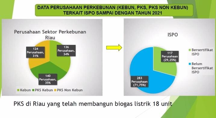 Baru 117 Perusahan Kelapa Sawit di Riau Bersertifikat ISPO