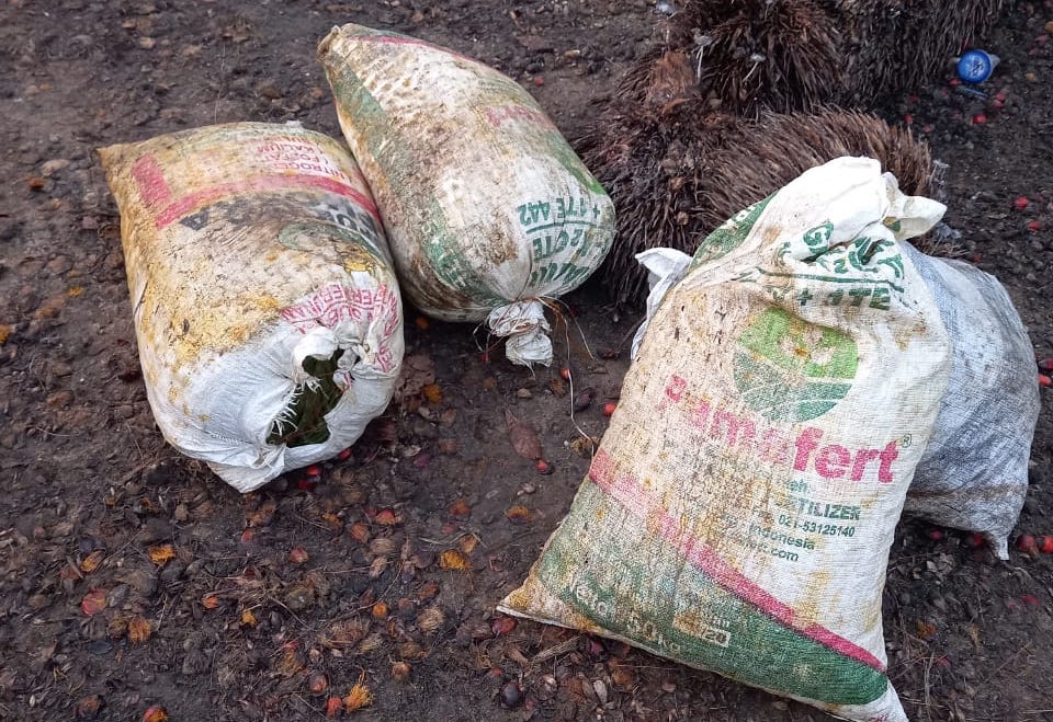 Dua Warga Rohul Dipenjara Gegara Curi Brondolan 3 Karung Milik PTPN V