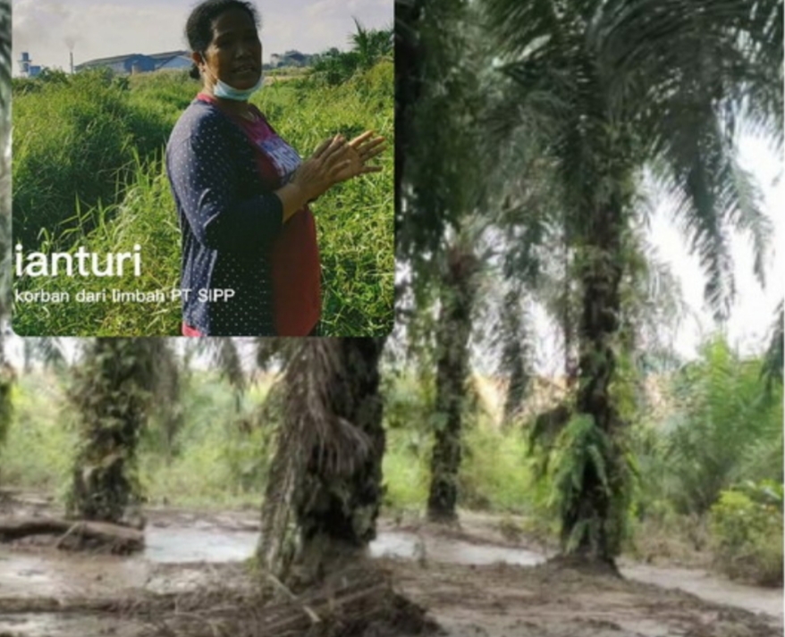 Korban Limbah Minta PT SIPP Ditindak Tegas Polisi