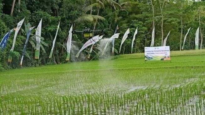 Tekhnologi Baru, Drone Bisa Semprot Pupuk ke Sawah