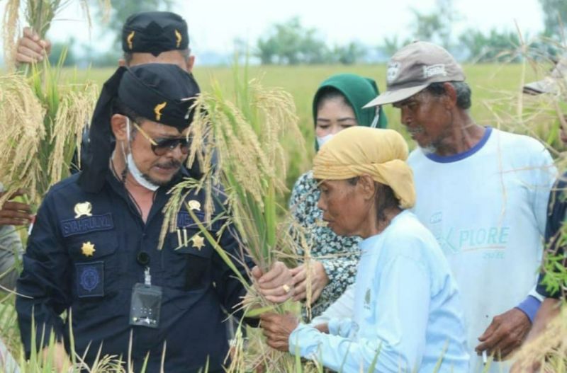 Kementan: Tanaman Berkualitas Tergantung Pupuk yang Berimbang