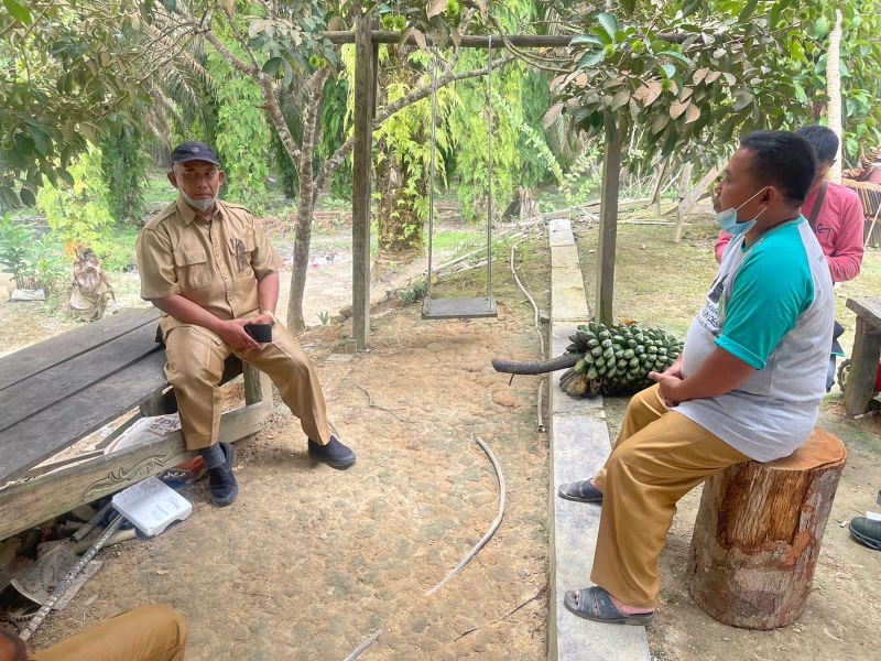 Sawit Sudah Tua dan Produksi Turun Jadi Alasan Ikut PSR