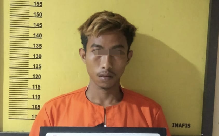 Saat yang Lain Panen, Pekerja ini Cabuli Putri Pemilik Kebun Sawit