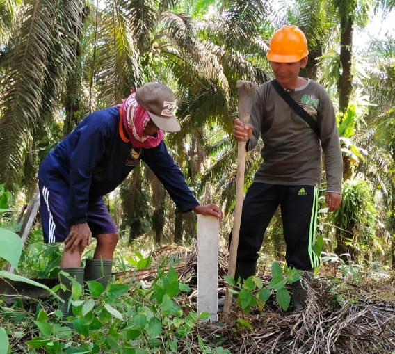 Benda ini Ternyata Bisa Mencegah Salah Panen Kebun Orang