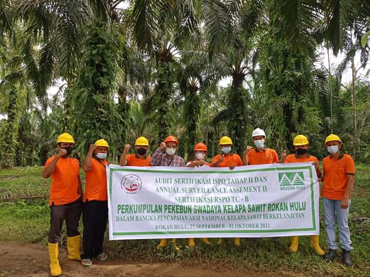 Berharap TBS Dihargai Lebih Mahal, tapi Berat Lepas dari Pengepul