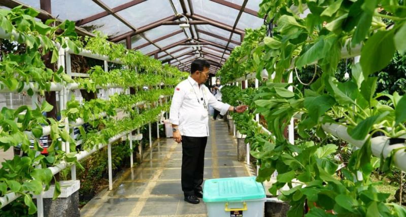 Pesan Menteri Syahrul ke Petani Untuk Hadapi Perubahan Iklim