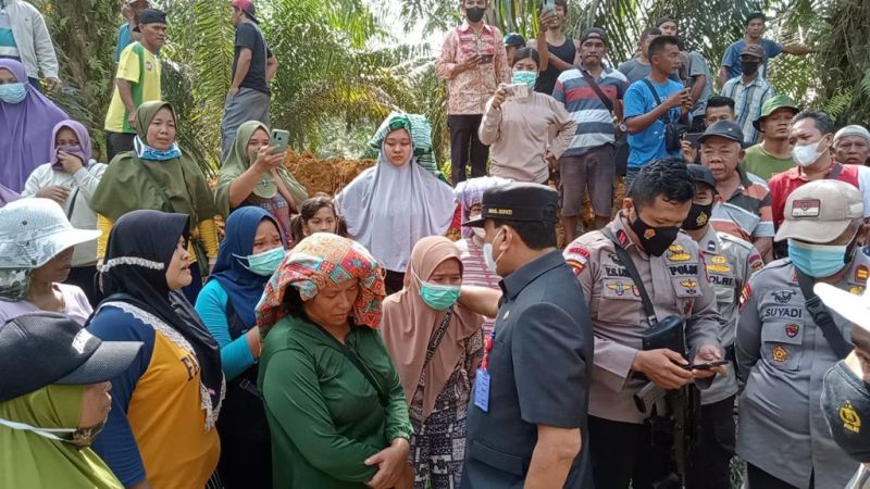 PT Wanasari Jawab Plt Bupati Kuansing: Itu Lahan Kami