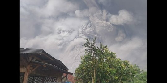 Sedih, 13 Korban Erupsi Semeru Meninggal Dunia