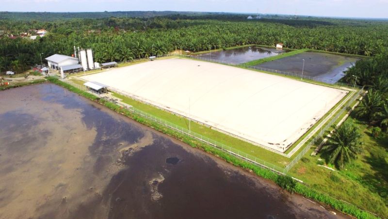 BUMN Perkebunan ini Jualan Listrik, Bahan Bakunya Limbah