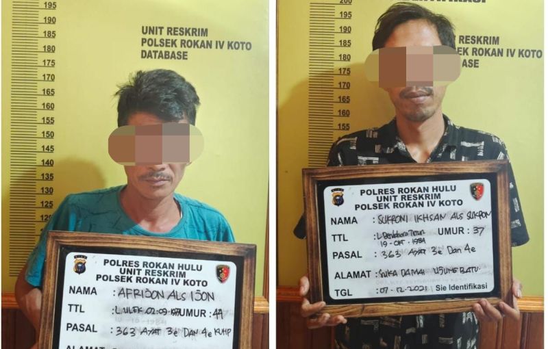 Curi Buah Sawit, Dua Warga Rohul Diringkus Polisi