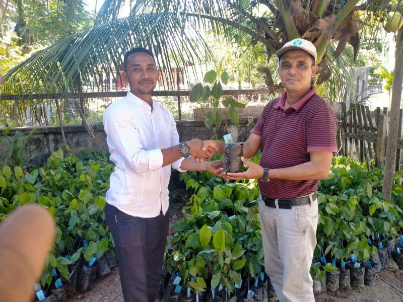 Kebunnya itu Juga, Tapi Hasilnya Berlipat-lipat