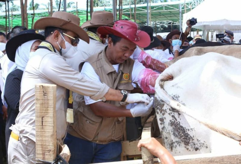 Mentan Syahrul: Potensi Peternakan Lampung Sangat Baik