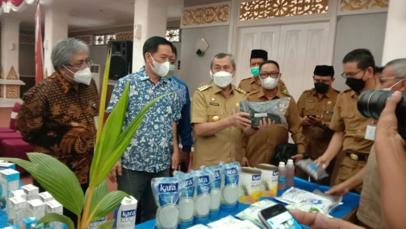 Peringati Hari Perkebunan Nasional, Begini Harapan Gubernur Riau