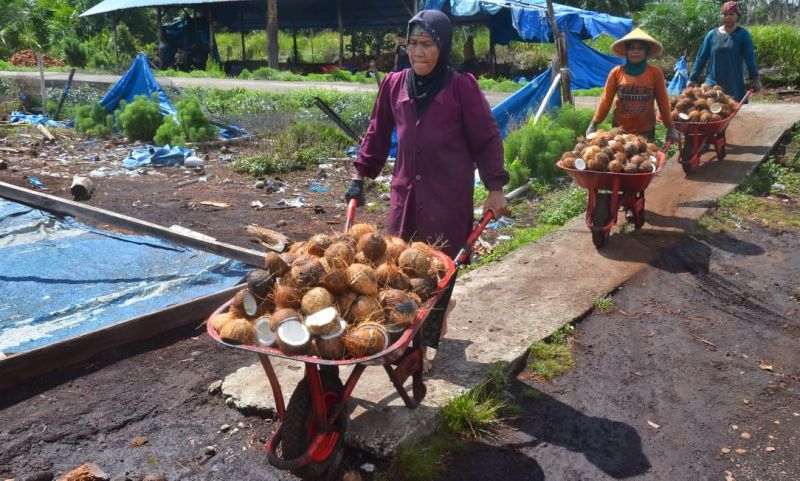 Harga Sejumlah Komoditas di Riau Stabil