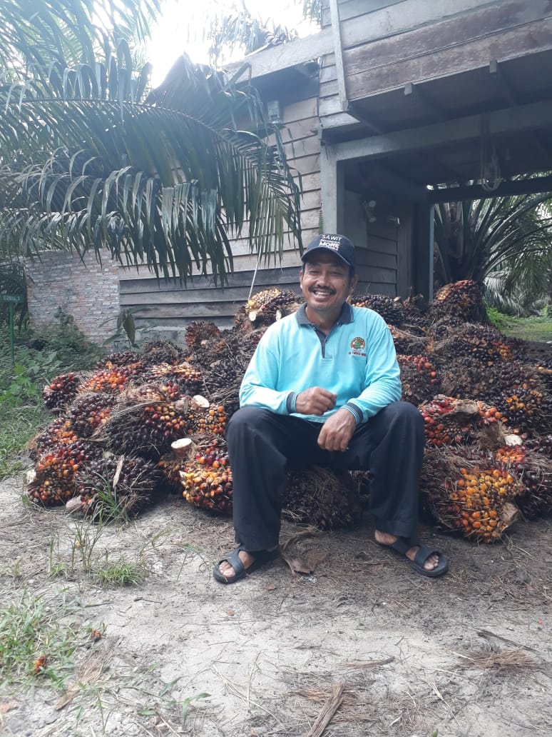 Aspekpir Dukung Rencana Subsidi Minyak Goreng Pakai Dana BPDPKS