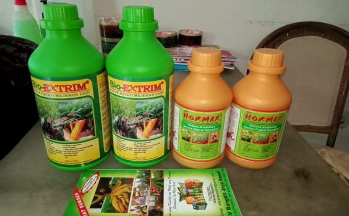 Untung di Indonesia Banyak Limbah