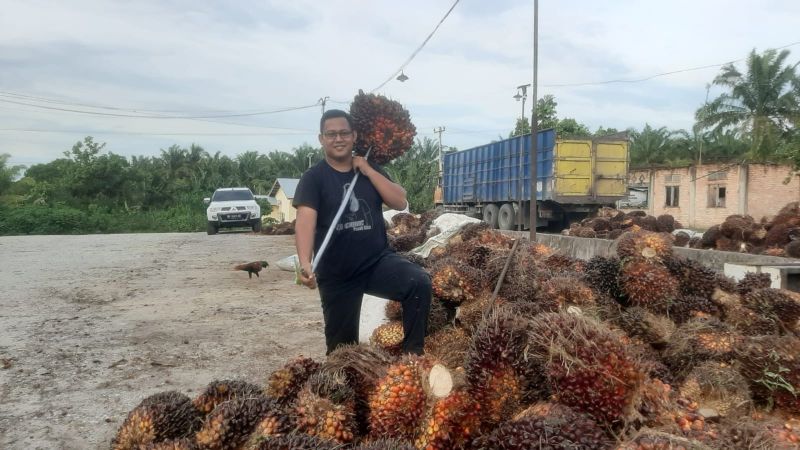 Aduh Mak! Harga Sawit di Riau Bikin Spot Jantung