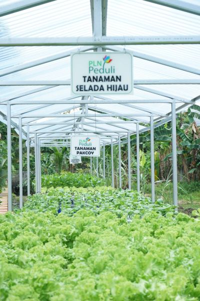 Strategi Kementan dan PLN untuk Petani Modern