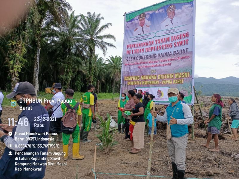 Petani Sawit Bakal Minta Menteri Pertanian Bertanggung Jawab