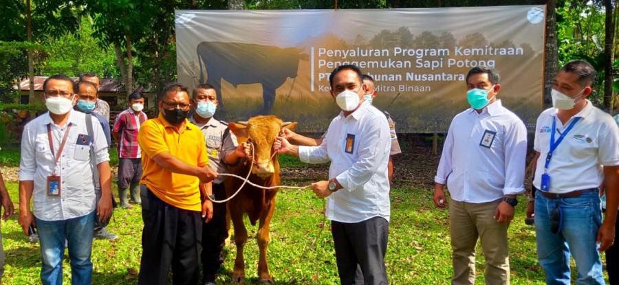 Ratusan Peternak Sapi Potong Diguyur Rp 8,5 Miliar