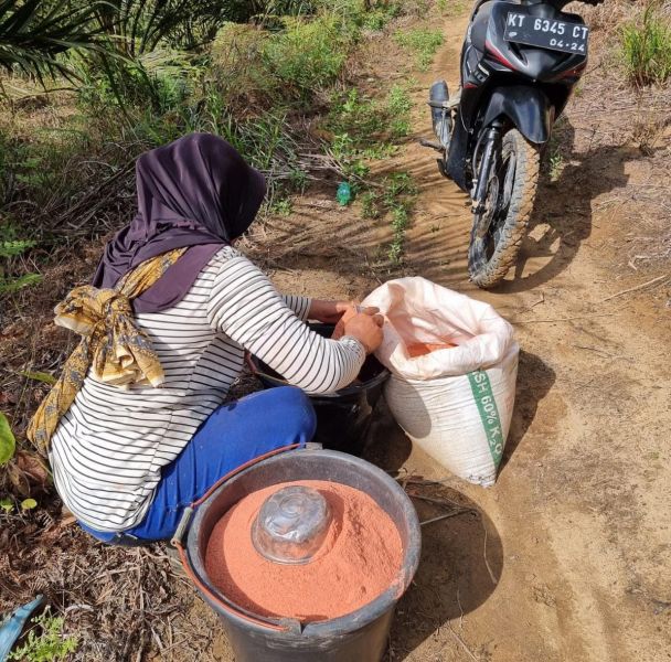 Astaga! Pupuk Naik 200 Persen Bikin Petani Kukar Menjerit