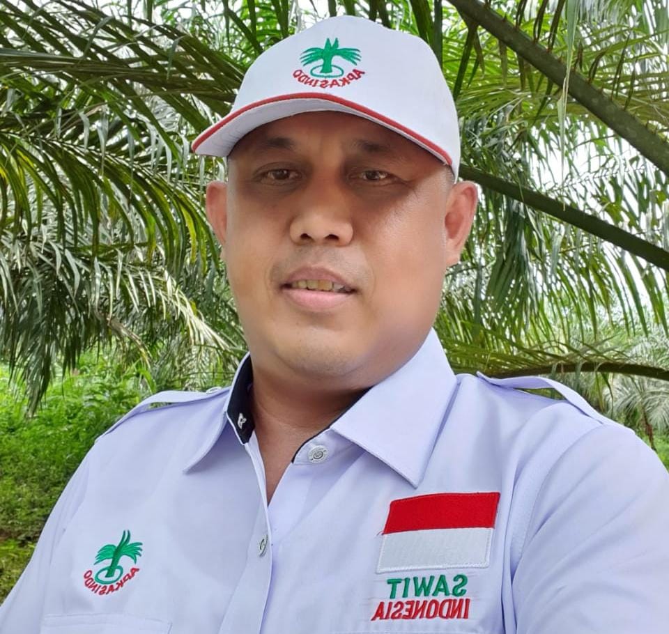 Ini Manfaat Tanam Kacang-kacangan di Kebun Sawit