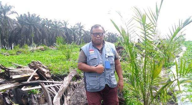 Penangkar Bibit Sawit Diminta Konsisten Sesuai Standar PSR