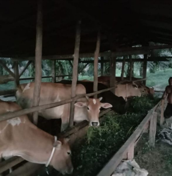 SISKA Beri Surianto Penghasilan Tambahan Jutaan Rupiah