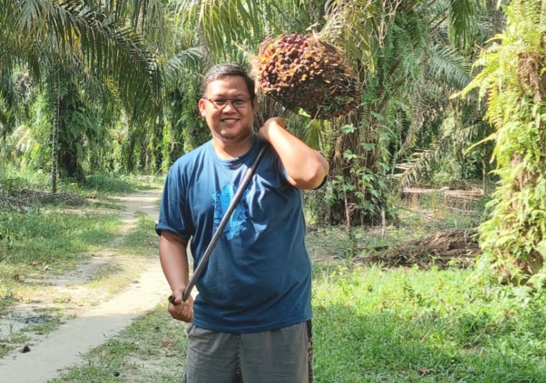 Sebentar Lagi Harga Sawit Petani Ditentukan Pemerintah, Bukan PKS