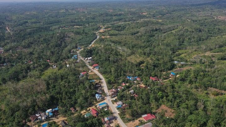 Izin Konsesi di Sumsel Dicabut, Selama Ini Terlantar