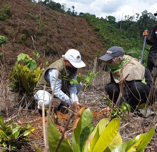 PTPN V Gandeng Masyarakat dan Mahasiswa Tanami Hutan Bukit Suligi