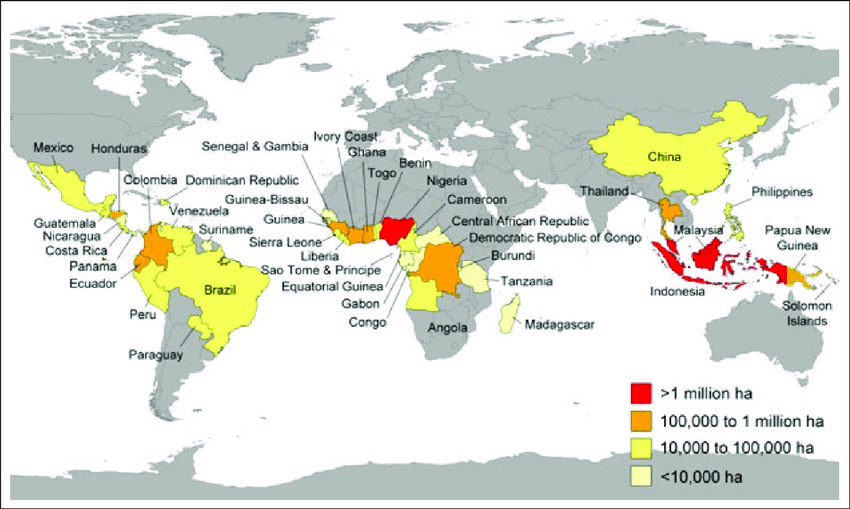 Ini 43 Negara Sawit Dunia, Guinea Level Kedua