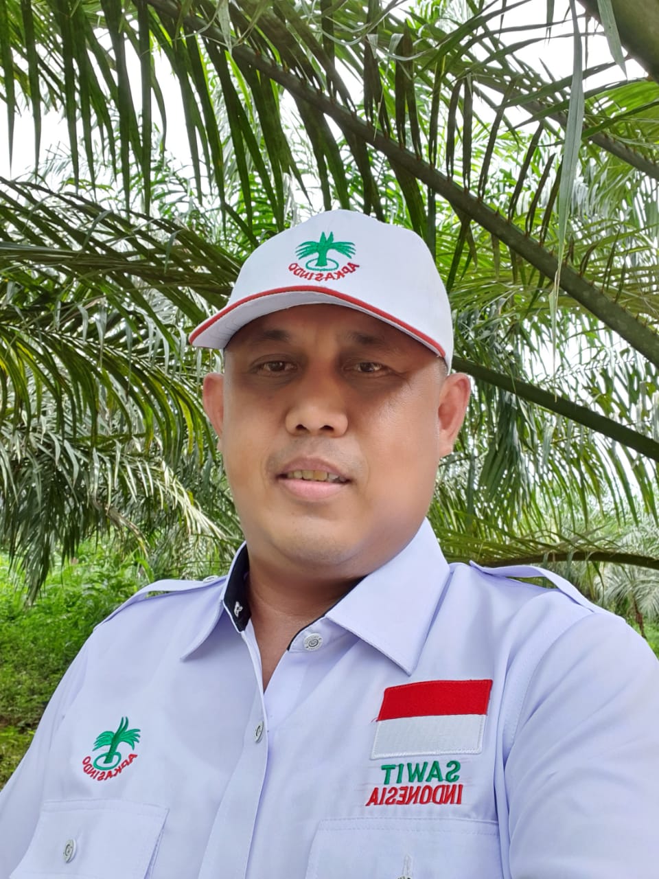 Daru Tak Yakin SK Pencabutan Izin Konsesi Dilakukan Tahun Ini