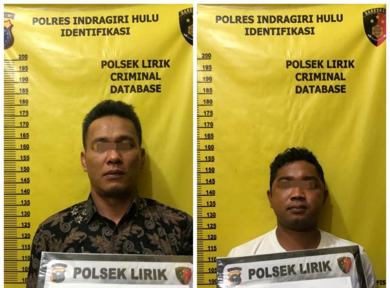 Hampir Setahun Kabur, Ninja Sawit Berhasil Diringkus