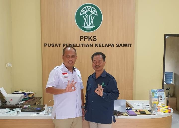 Menyongsong Masa Depan, Petani Sawit Beli 79.000 Kecambah PPKS