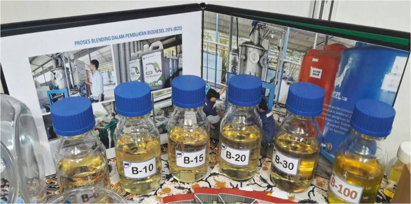 Hanya Ada di Indonesia! Habis Rp110 Triliun, 