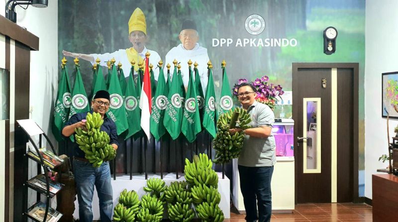 Sudah Berduit Sebelum Panen Sawit