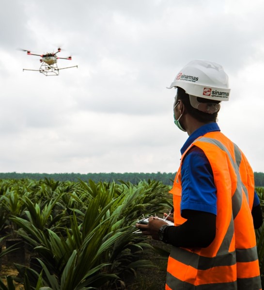 Industri Sawit Manfaatkan Teknologi untuk Produktivitas dan Efisiensi