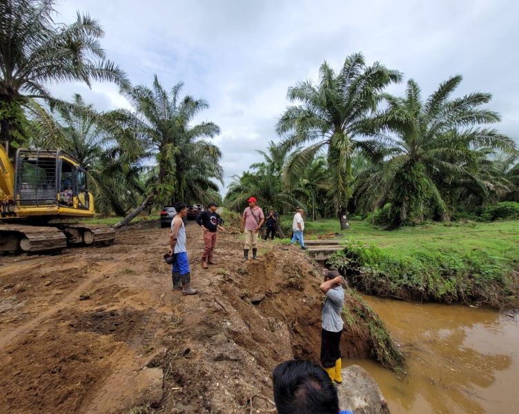 Kebun Sawit Diterjang Banjir, Jembatan Putus