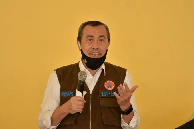 72 Ribu Hektar Kebun Kelapa di Riau Harus Replanting