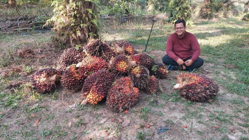 Sulitnya Petani Bermitra dengan Perusahaan Sawit di Sumbar