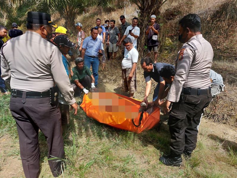 Belum Sempat Panen Sawit, Palen Tewas Mengenaskan Diinjak Gajah