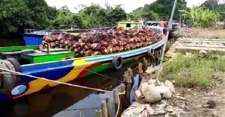 Harga TBS Sumsel Bikin Petani Swadaya Makin Cuan