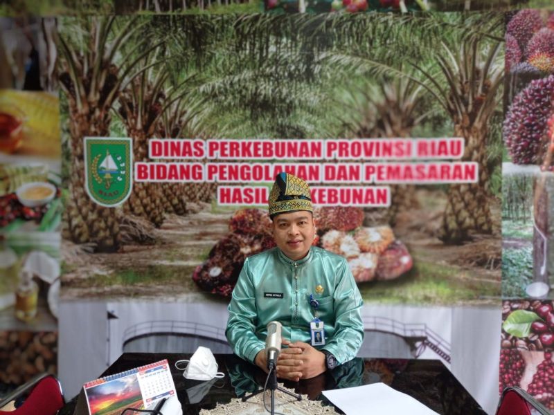 Pabrik Sawit Dilaporkan ke Kementan Jika Beli TBS Harga Murah